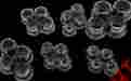 08-4301 Kimpex Front Suspension Bushing Kits 08-4301 Kimpex Front Suspension Bushing Kits