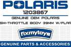 1203867 Polaris Oem Assembly Throttle