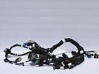 2412445 Polaris 2015 2016 Wiring