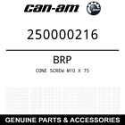 250000216 Summit Cone Screw