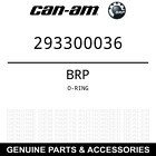 293300036 Mxz