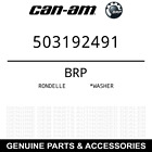 503192491 Brp Oem Washer For Expedition Grand Touring Mxz Renegade Skandic