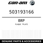 503193166 Renegade Plate