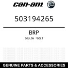 503194265 Renegade Bolt
