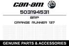 503194531 Brp 2017 Ski-doo Renegade