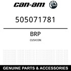 505071781 Renegade Cushion