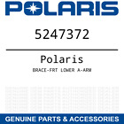 5247372 Polaris Oem Lower