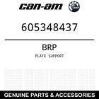 605348437 Skandic Plate Support