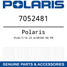 7052481 Polaris Oem Oring No Pb