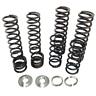 K25-pl1005-17 Zbroz Racing Dual Rate Spring Kit Pol