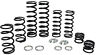 K25-pl1006-0 Zbroz Racing Dual Rate Spring Kit Pol