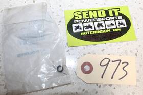 3085076 Polaris P6 Nos Spring Return