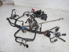515177375 Ski-doo 13 Summit Xm 800r E-tec Wiring Harness Main Engine Wire Loom Coil #0488