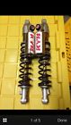 Ski Gold Doo Kyb Piggy Coated Shocks