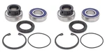 Lower Drive Shaft & Upper Jack Bearing Seal Kit Classic 650 1988-1989. Fixed Price $88.40.