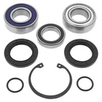 2010 Polaris 600 Pro Ride Rush Upper Shaft Jack Bearing & Seal Kit. Fixed Price $54.74.