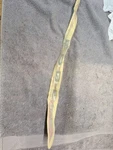 7170158 Polaris Edge Ifs Trailing Arm Decal Sticker Oem Genuine. Fixed Price $22.49.