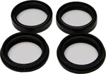 Balls Fork Oil And Dust Seal Wiper Kit Buell Cyclone M2 97-02. Fixed Price $38.57.