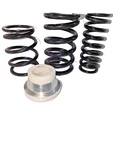 Polaris Fst 750 Rear Shock Spring Set. Fixed Price $290.00.