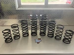 Zbroz Stage Spring Kit, Polaris Rzr Turbo 4 Seater K30-PL1037-0. Fixed Price $949.00.