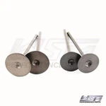 Wsm Engine Valve Kit Polaris 450 / 570 850 11-24 017-403, 3022134, 3022349. Fixed Price $75.15.