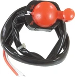 SP1 Kill Switch For 1976 - 1978 Polaris Tx 250 Snowmobile. Fixed Price $24.30.