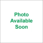 SP1 SU-08029S Ski Gas Shocks. Fixed Price $243.91.
