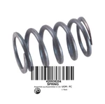 420938204 Spring. Fixed Price $7.65.