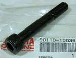 Qty 2 New Oem Yamaha Bolt 90110-10036-00. Fixed Price $7.99.