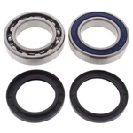 Arctic Cat F1100, 2012-2013, Track Drive Shaft/chain Case Bearing & Seal Kit. Fixed Price $63.89.