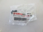 New Oem Yamaha Bolt, Flange 95817-08014 Grizzly, Raptor, Star, Wolverine. Fixed Price $9.99.