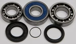 2010-2014 Ski-doo Apex Upper Shaft Balls Jack Bearing And Seal Kit. Fixed Price $74.61.