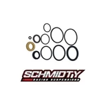 Polaris Robby Gordon 800 RZR-4 Front Rear Fox Shock Rebuild Seal Kit Podium. Fixed Price $25.00.