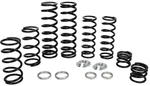 Zbroz Dual Rate Spring Kit K25-PL1006-0. Fixed Price $825.95.