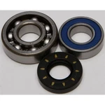 Balls Chain Case Bearing & Seal Kit 14-1028. Fixed Price $41.68.