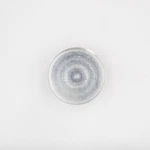 Cap Part Number - 1700023 For Polaris. Fixed Price $53.99.