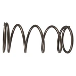 Polaris 7041021 Spring-(clear) Part#. Fixed Price $74.99.