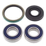 Ski-doo Safari Escapade 503, 1989, Track Drive Shaft Bearing And Seal Kit. Fixed Price $32.19.