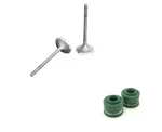 Arctic Cat 250 300 98-05 Intake Exhaust Set & Oil Seals Kit. Fixed Price $42.95.