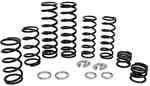 Zbroz K25-PL1006-0 Dual Rate Spring Kit. Fixed Price $825.95.