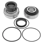 2003 Arctic Cat Zl 600 Efi Upper Shaft Balls Jack Bearing And Seal Kit. Fixed Price $54.03.