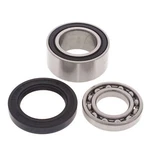 Arctic F5 Firecat 500, 2007-2014, Bearing & Seal Kit. Fixed Price $37.24.