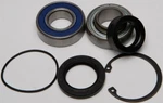 Balls 14-1001 Shaft Bearing And Seal Kit. Fixed Price $44.20.