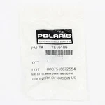 Polaris Screw Part Number - 7519109. Fixed Price $13.99.