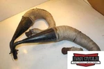 Arctic Cat 800 Exhaust Pipe Expansion Chamber. Fixed Price $184.49.