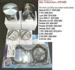 2002-2008 Arctic Z 570 Bearcat Panther MTNCAT/08-14 Piston Rebuild Kit. Fixed Price $190.00.