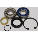 Balls Chain Case Bearing & Seal Kit 14-1040. Fixed Price $52.04.