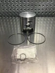 Polaris Piston 3090288 3090407 3090313 3090277 3090247 3090187 3090186 T380. Fixed Price $159.99.