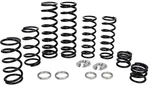 Zbroz Dual Rate Spring Kit K25-PL1006-0. Fixed Price $825.95.