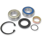 Balls Chain Case Bearing And Seal Kits 141-9067 AB14-1067 AB141067. Fixed Price $73.42.